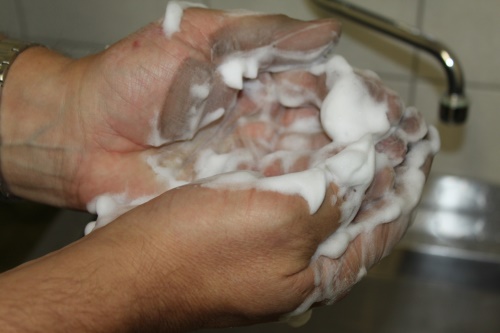 Hand Protector NF